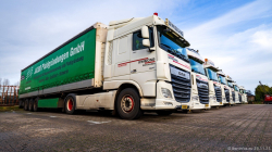 20251129-Lewiszong-00036